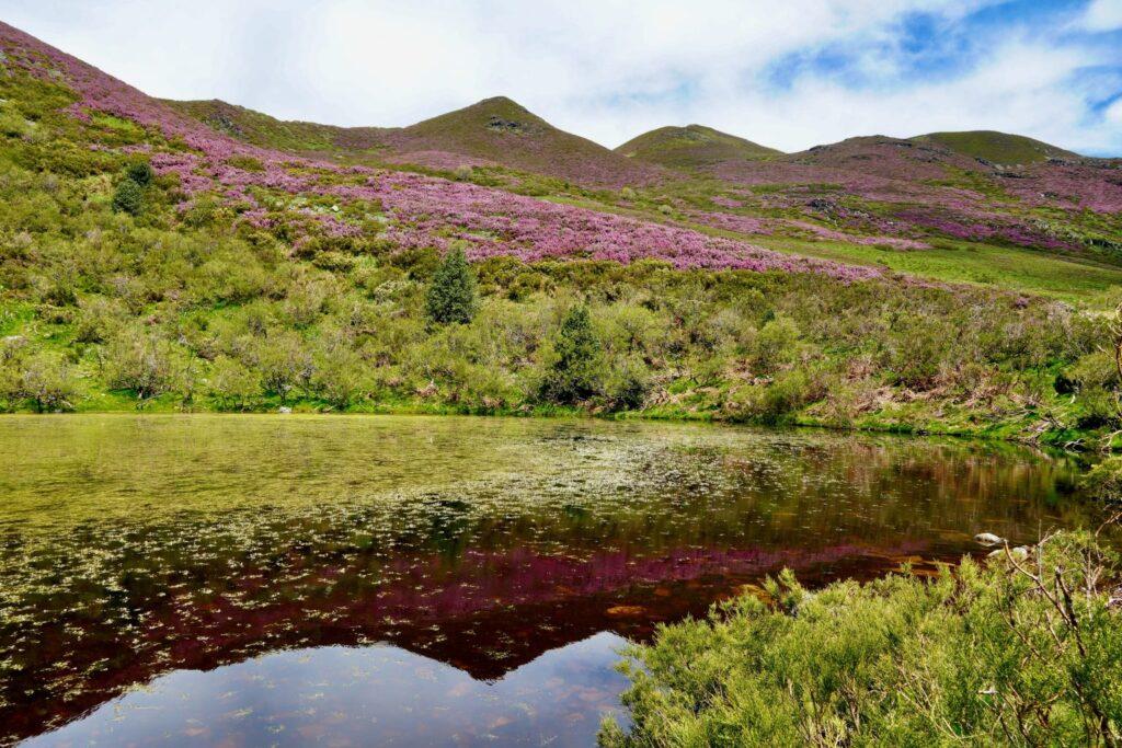 La Reserva de la Biosfera de los Ancares desvela los ganadores del VIII concurso de fotografía
